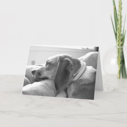 恋しく思って下さい カード (正面)