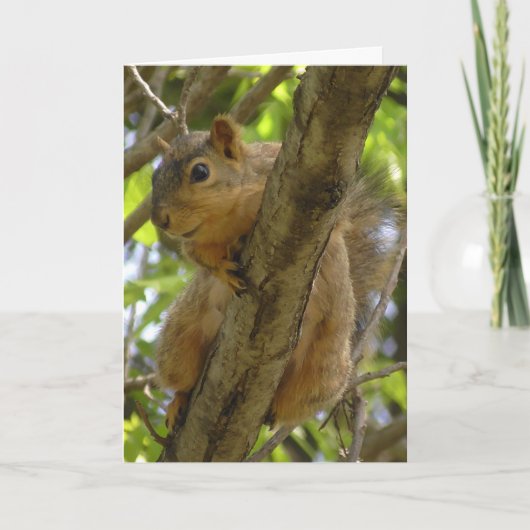 恋しく思つる早く出て行く カード (正面)