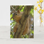 恋しく思つる早く出て行く カード (黄色い花)