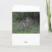 恋しく思のウサギ カード (裏面)