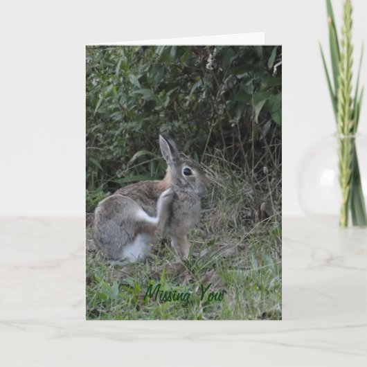 恋しく思のウサギ カード (正面)