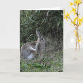 恋しく思のウサギ カード (黄色い花)