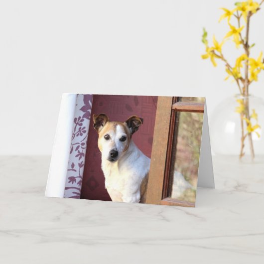 恋しく思の犬 カード (黄色い花)