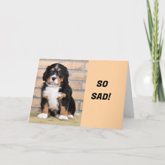 「恋しく思のU SINCE U MOVED」 シーズンカード