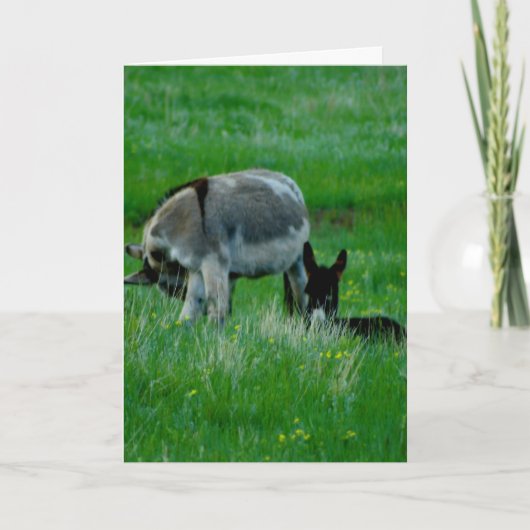 恋しく思のYou自然シーンカード カード (正面)