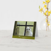 恋しく思のYou - Cat at Window カード (黄色い花)