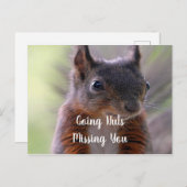 恋しく思のYou Nutty Squirrelポストカード ポストカード (正面/裏面)