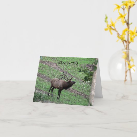 恋しく思カード カード (黄色い花)