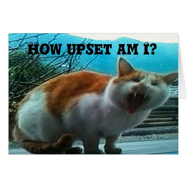 **恋しく思クリスマス**お**い** (正面横)