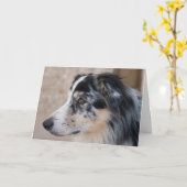 恋しく思ズ・ユー・オーストラリア・シェパード写真テンプレート カード (黄色い花)