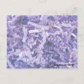 恋しく思ズ・ユー・パープル紙・シュレッズ写真 ポストカード (裏面)
