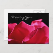 恋しく思ズ・ユー・ピンク・ローズ・花びら ポストカード (正面/裏面)