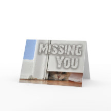 恋しく思ズ・ユー・ピーキング子猫