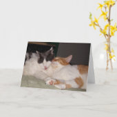 恋しく思友達のかわいい猫あいさつカード カード (黄色い花)