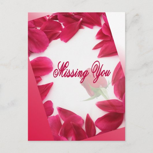 恋しく思君のはがき ポストカード (正面)