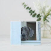 『恋しく思君はがき』 ポストカード (スタンド正面)