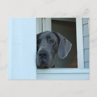 『恋しく思君はがき』 ポストカード