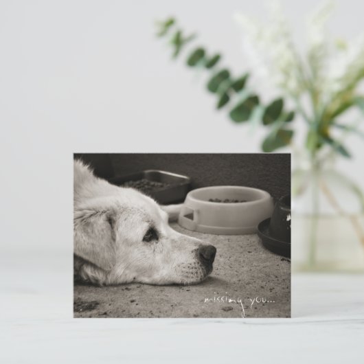 恋しく思君 – はがき (スタンド正面)