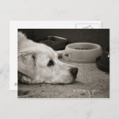 恋しく思君 – はがき (正面/裏面)