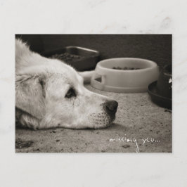 恋しく思君 – はがき