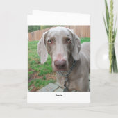 恋しく思君 カード (裏面)