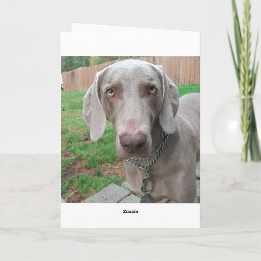 恋しく思君 カード (裏面)