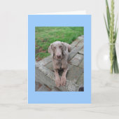 恋しく思君 カード (正面)