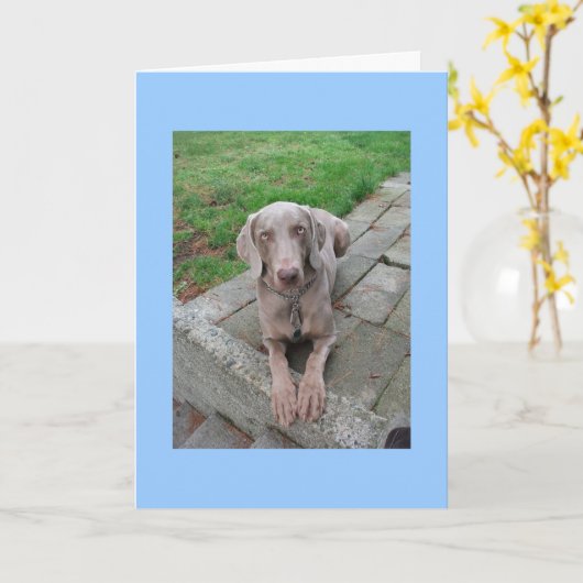 恋しく思君 カード (黄色い花)