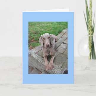 恋しく思君 カード