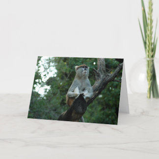 恋しく思君 カード