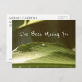 「恋しく思君」バナナの葉の水滴、写真 ポストカード (正面/裏面)