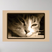 恋しく思君 ポスター (正面)