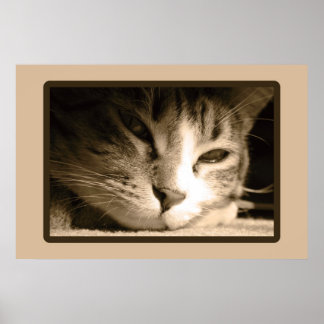 恋しく思君 ポスター