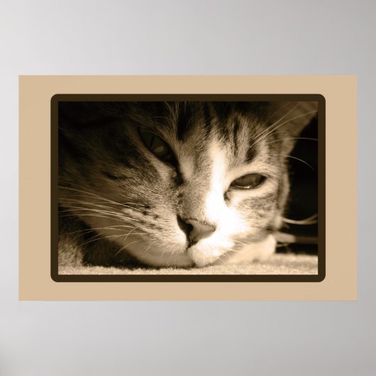 恋しく思君 ポスター (正面)