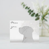 恋しく思君。 ポストカード (スタンド正面)