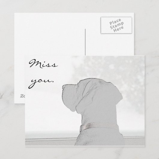 恋しく思君。 ポストカード (正面/裏面)