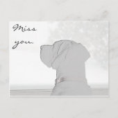 恋しく思君。 ポストカード (正面)