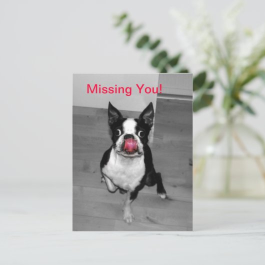 恋しく思君 ポストカード (スタンド正面)