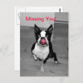 恋しく思君 ポストカード (正面/裏面)