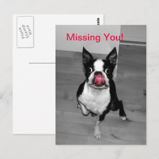 恋しく思君 ポストカード (正面/裏面)