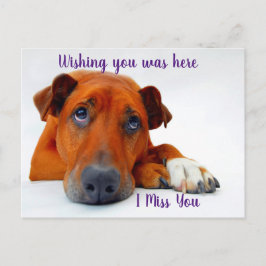 恋しく思君 ポストカード