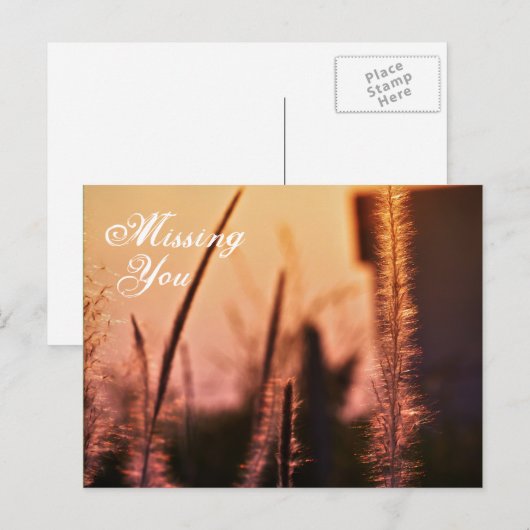 恋しく思君 ポストカード (正面/裏面)