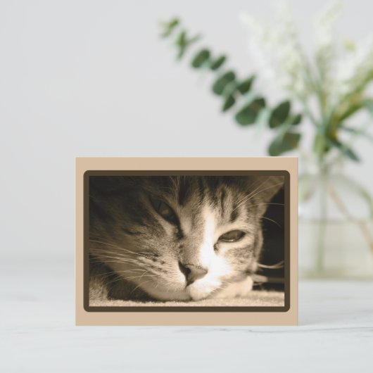 恋しく思君 ポストカード (スタンド正面)