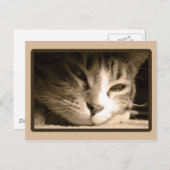 恋しく思君 ポストカード (正面/裏面)