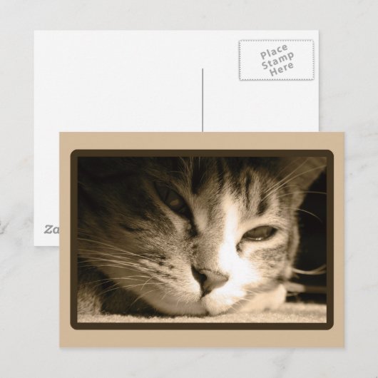 恋しく思君 ポストカード (正面/裏面)