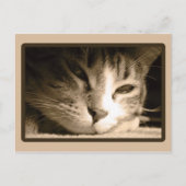 恋しく思君 ポストカード (正面)