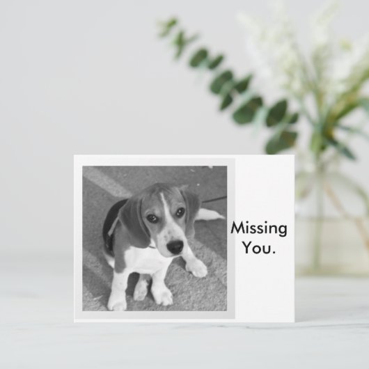 恋しく思君 ポストカード (スタンド正面)