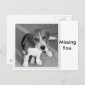 恋しく思君 ポストカード (正面/裏面)