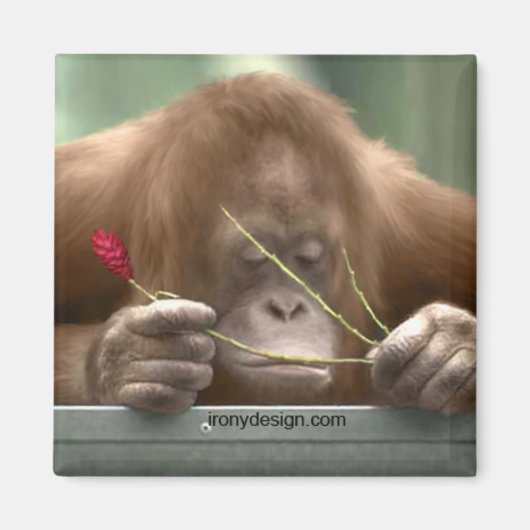 恋しく思君 マグネット (正面)