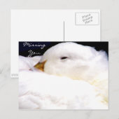 恋しく思君_葉書 ポストカード (正面/裏面)